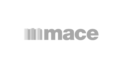 Mace slider logo
